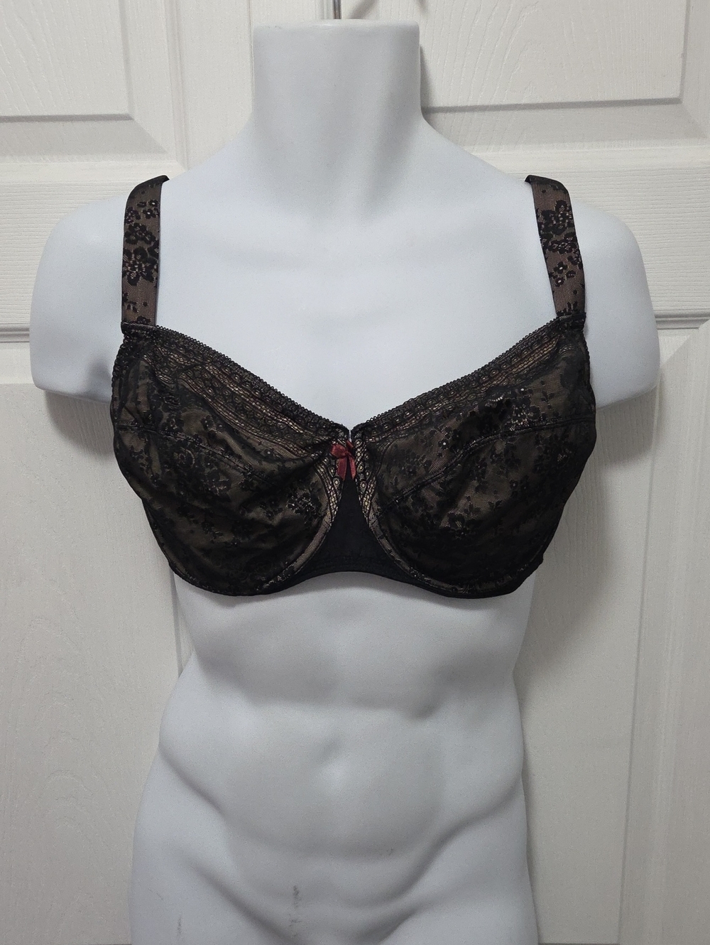 Rosa Faia 38G Sheer Black Lace Underwire Bra with Burgundy Accent